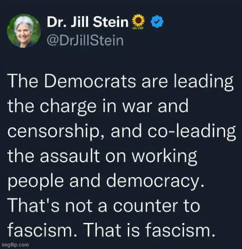 Even the green party gets it... | image tagged in political,reposts,jill stein,gets it | made w/ Imgflip meme maker