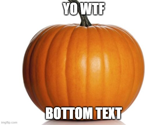 pumpkin | YO WTF BOTTOM TEXT | image tagged in pumpkin | made w/ Imgflip meme maker