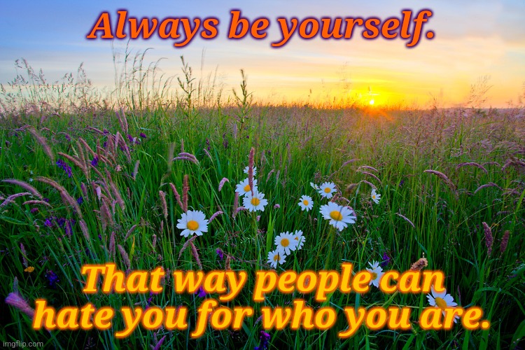 I've always been myself | Always be yourself. That way people can hate you for who you are. | image tagged in sunrise meadow,depression,depression sadness hurt pain anxiety | made w/ Imgflip meme maker