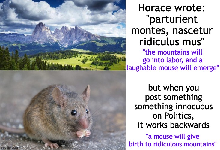 My mouse of a meme gave birth to heaps of Dunning Kruger mountains | Horace wrote: "parturient montes, nascetur ridiculus mus"; "the mountains will go into labor, and a laughable mouse will emerge"; but when you post something something innocuous on Politics, it works backwards; "a mouse will give birth to ridiculous mountains" | image tagged in nature mountains,mouse eating food,politics,argument,ridiculous | made w/ Imgflip meme maker