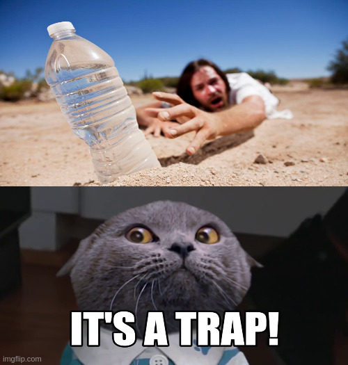 Thirst Trap | image tagged in funny memes | made w/ Imgflip meme maker