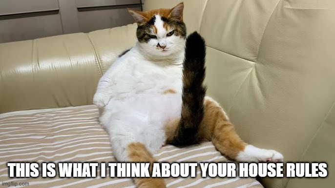 Middle Tail | THIS IS WHAT I THINK ABOUT YOUR HOUSE RULES | image tagged in cats | made w/ Imgflip meme maker