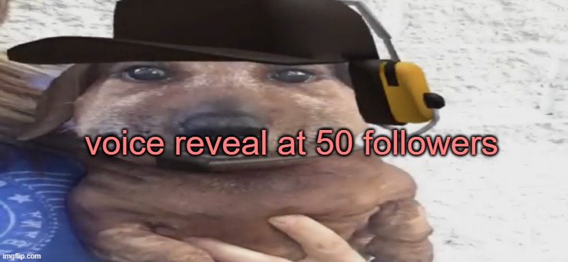 this is legit | voice reveal at 50 followers | image tagged in chucklenuts | made w/ Imgflip meme maker