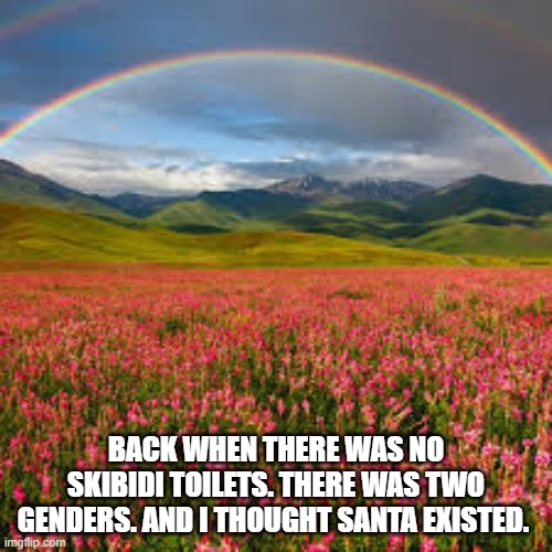 good ol' days :/ | BACK WHEN THERE WAS NO SKIBIDI TOILETS. THERE WAS TWO GENDERS. AND I THOUGHT SANTA EXISTED. | image tagged in nostalgia,skibidi toilet,lgbt,santa,childhood,faith in humanity | made w/ Imgflip meme maker