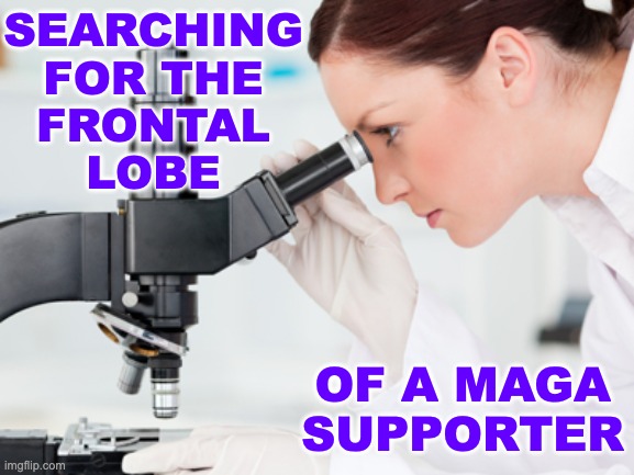 Scientist Microscope | SEARCHING
FOR THE
FRONTAL
LOBE OF A MAGA
SUPPORTER | image tagged in scientist microscope | made w/ Imgflip meme maker