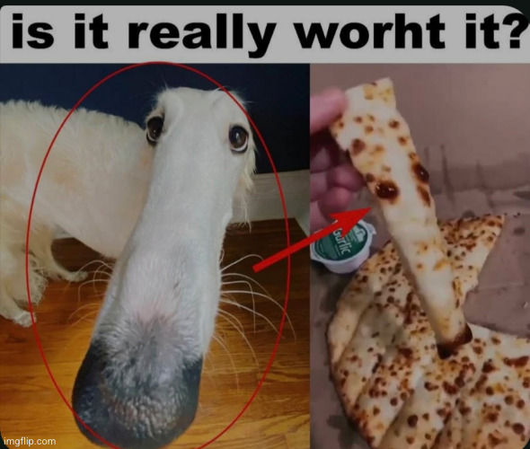 is this worht it | image tagged in pizza,dog,is it worth it,funny,food,secret message | made w/ Imgflip meme maker