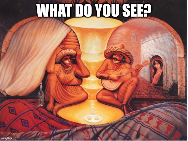 WHAT DO YOU SEE? | made w/ Imgflip meme maker