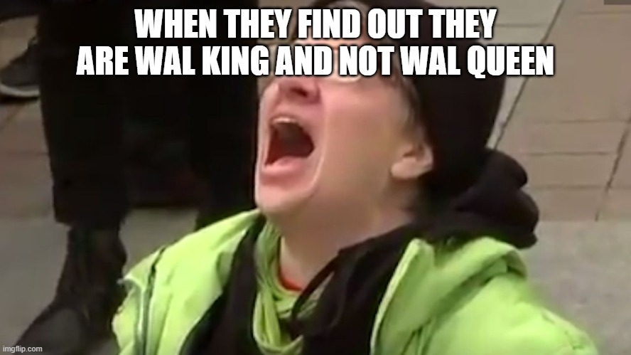 WHEN THEY FIND OUT THEY ARE WAL KING AND NOT WAL QUEEN | image tagged in screaming liberal | made w/ Imgflip meme maker