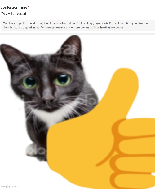 image tagged in thumbs up cat | made w/ Imgflip meme maker