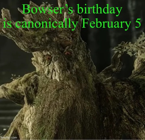 Hecate | Bowser’s birthday is canonically February 5 | image tagged in hecate | made w/ Imgflip meme maker