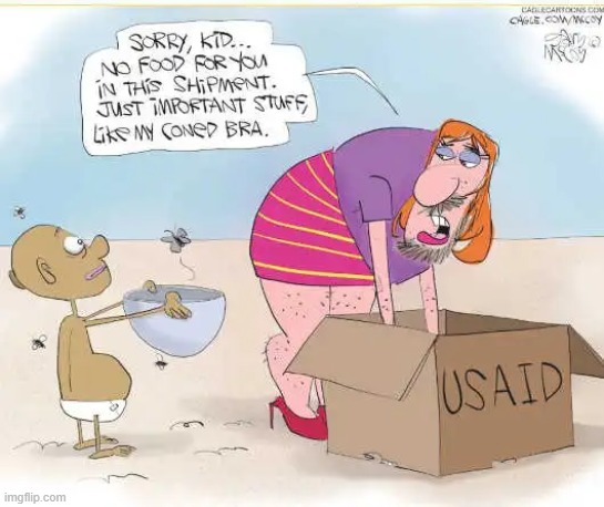 USAID has embedded problems and corruption | image tagged in doge,government corruption,pet programs,waste of money,democrat party,priorities | made w/ Imgflip meme maker