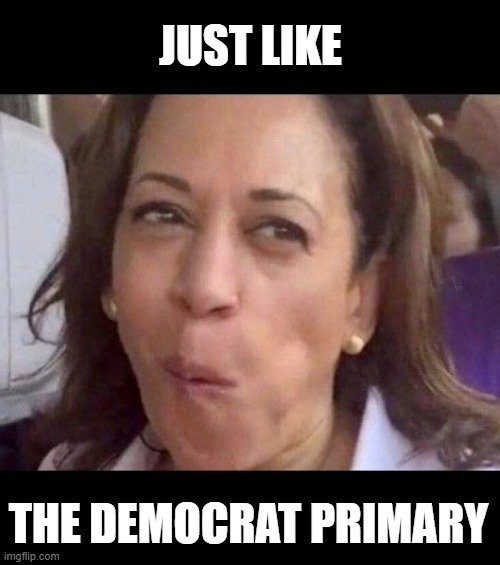 Kamala Harris | JUST LIKE THE DEMOCRAT PRIMARY | image tagged in kamala harris | made w/ Imgflip meme maker