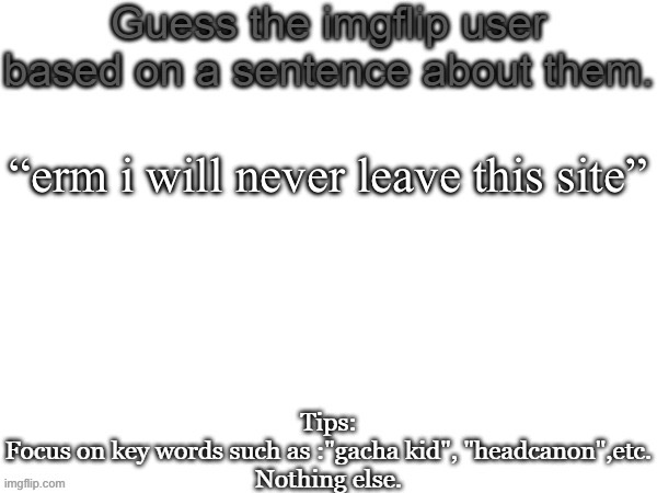 Guess the imgflip user based on a sentence about them | “erm i will never leave this site” | image tagged in guess the imgflip user based on a sentence about them | made w/ Imgflip meme maker