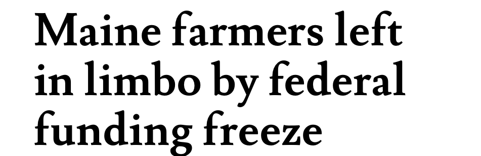 headline Blank Meme Template