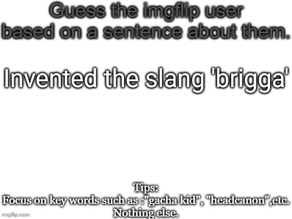 Guess the imgflip user based on a sentence about them | Invented the slang 'brigga' | image tagged in guess the imgflip user based on a sentence about them,msmg,memes | made w/ Imgflip meme maker