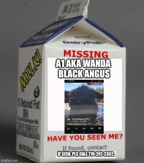 Y1 cow | A1 AKA WANDA 
BLACK ANGUS; IF SEEN, PLS CALL 719-207-2302. | image tagged in milk carton | made w/ Imgflip meme maker