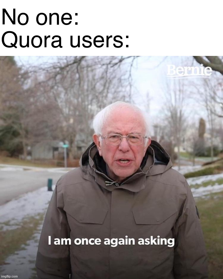 I am once again asking | No one:
Quora users: | image tagged in memes,bernie i am once again asking for your support | made w/ Imgflip meme maker