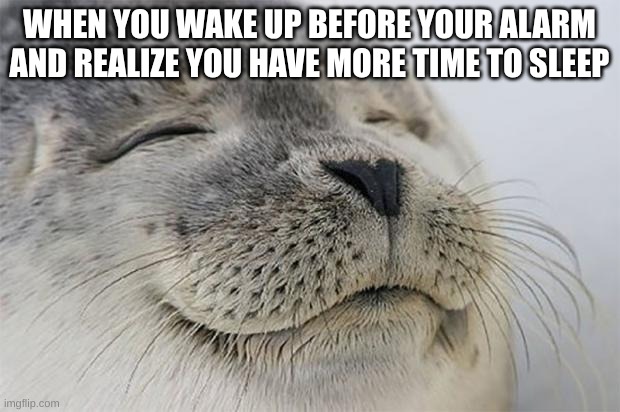 yes | WHEN YOU WAKE UP BEFORE YOUR ALARM AND REALIZE YOU HAVE MORE TIME TO SLEEP | image tagged in memes,satisfied seal | made w/ Imgflip meme maker