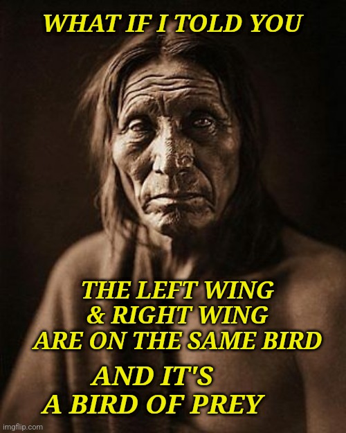 Left and Right Wing | WHAT IF I TOLD YOU; THE LEFT WING & RIGHT WING ARE ON THE SAME BIRD; AND IT'S A BIRD OF PREY | image tagged in left and right wing | made w/ Imgflip meme maker