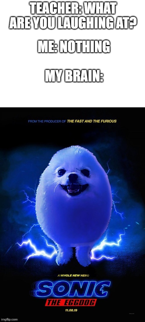 sonic the egg dog: in cinemas 2026 | ME: NOTHING; TEACHER: WHAT ARE YOU LAUGHING AT? MY BRAIN: | image tagged in egg dog,sonic,sonic the hedgehog,ice cream | made w/ Imgflip meme maker