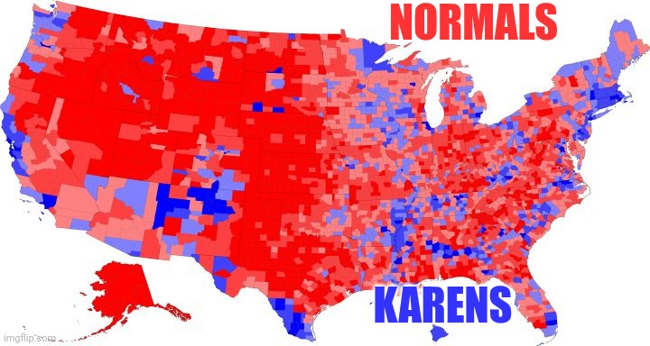 How it happened | NORMALS; KARENS | image tagged in us electoral map - counties,this is where the fun begins,mocking the afflicted,crying liberal,x x everywhere | made w/ Imgflip meme maker