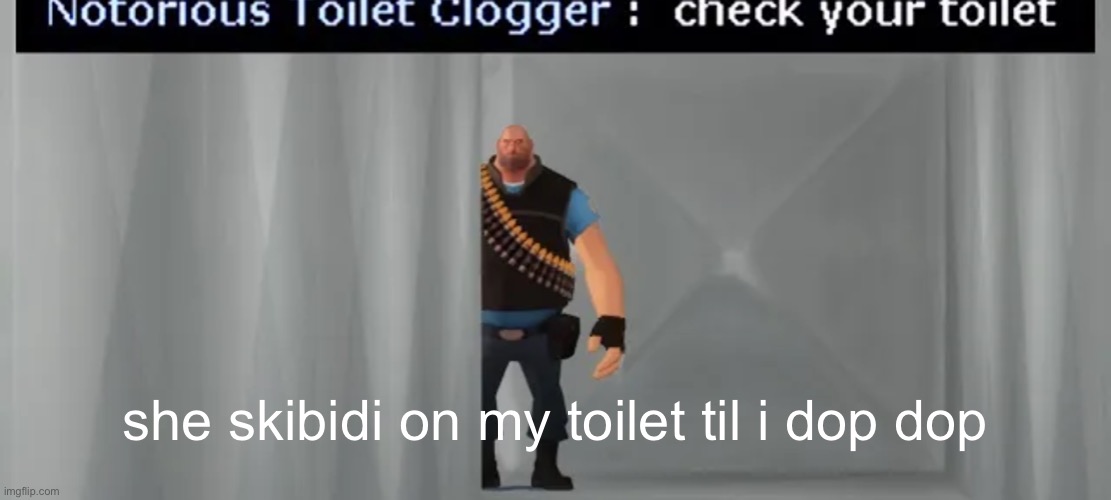check your toilet | she skibidi on my toilet til i dop dop | image tagged in check your toilet | made w/ Imgflip meme maker