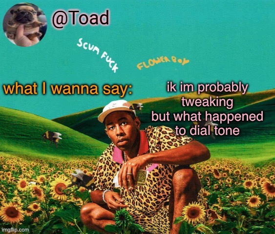 tylor (im kissing you spino) | ik im probably tweaking but what happened to dial tone | image tagged in tylor im kissing you spino | made w/ Imgflip meme maker