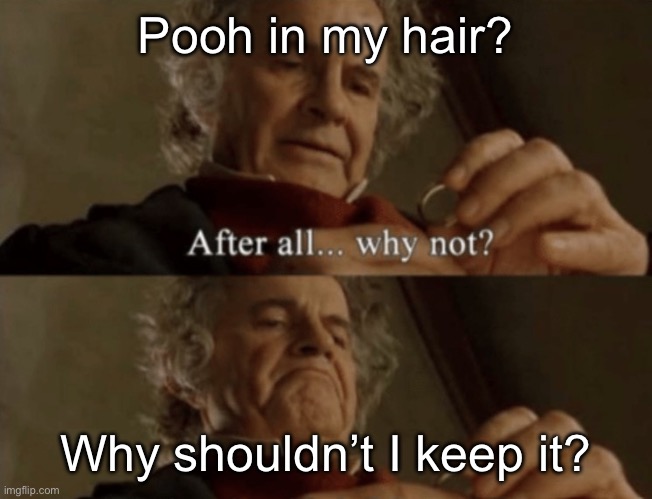 After all.. why not? | Pooh in my hair? Why shouldn’t I keep it? | image tagged in after all why not | made w/ Imgflip meme maker