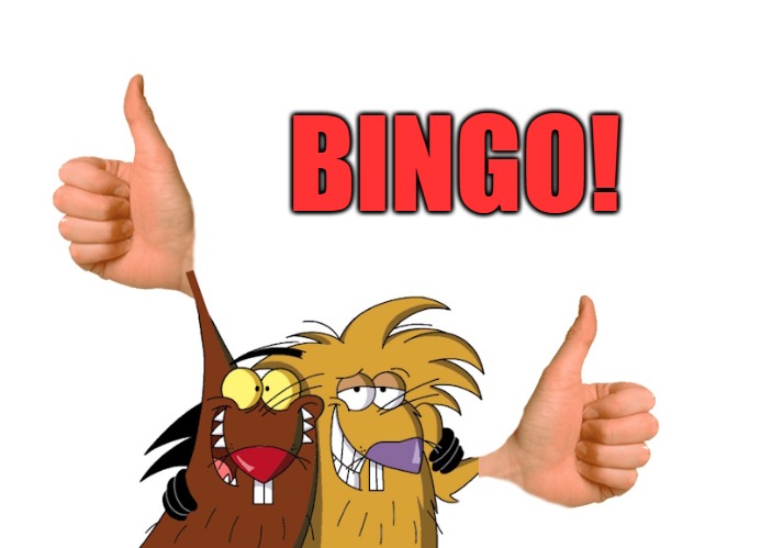 thumbs up | BINGO! | image tagged in thumbs up | made w/ Imgflip meme maker