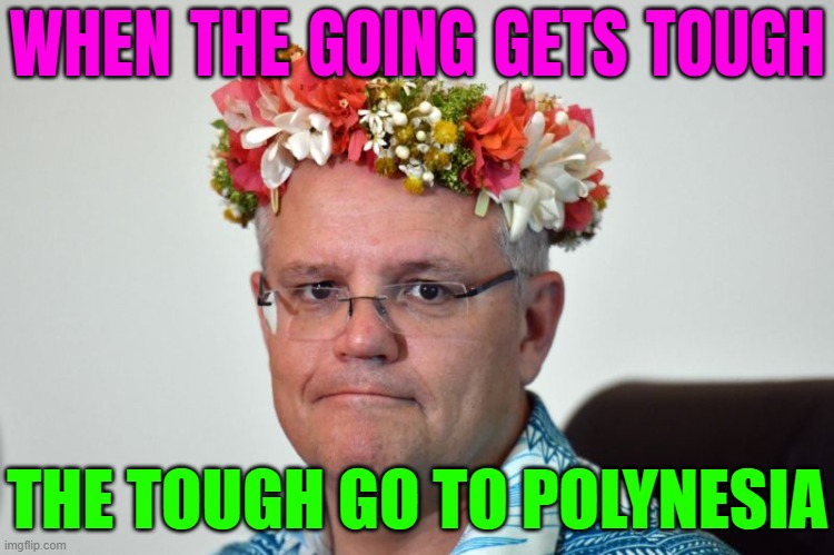 When The Going Gets Tough; The Tough Go To Polynesia | WHEN THE GOING GETS TOUGH; THE TOUGH GO TO POLYNESIA | image tagged in scomo,island,hawaii,hawaiian,politics lol,meanwhile in australia | made w/ Imgflip meme maker