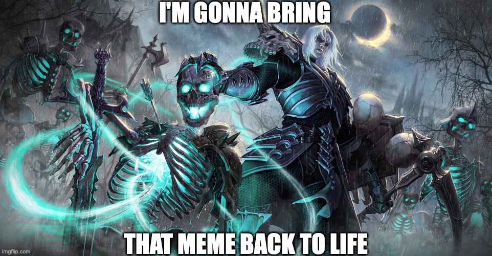 Diablo Necromancer | I'M GONNA BRING THAT MEME BACK TO LIFE | image tagged in diablo necromancer | made w/ Imgflip meme maker