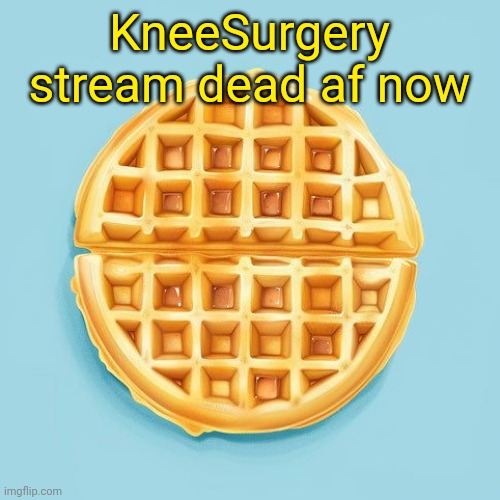 Waffle | KneeSurgery stream dead af now | image tagged in waffle | made w/ Imgflip meme maker