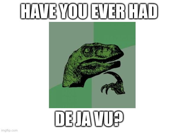 No, not me | HAVE YOU EVER HAD; DE JA VU? | image tagged in memes | made w/ Imgflip meme maker