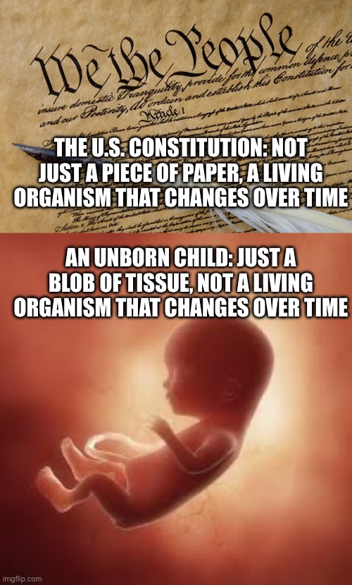 Liberal Logic 101 | THE U.S. CONSTITUTION: NOT JUST A PIECE OF PAPER, A LIVING ORGANISM THAT CHANGES OVER TIME; AN UNBORN CHILD: JUST A BLOB OF TISSUE, NOT A LIVING ORGANISM THAT CHANGES OVER TIME | image tagged in abortion,constitution,liberal logic,liberals | made w/ Imgflip meme maker