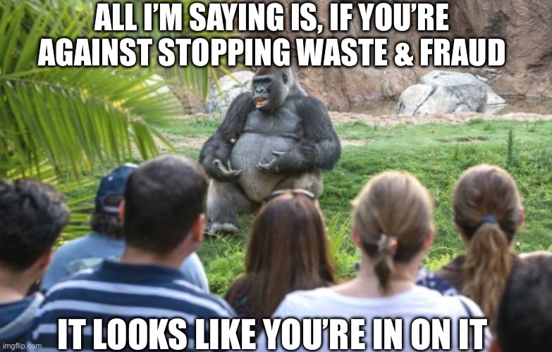 ted talk gorilla | ALL I’M SAYING IS, IF YOU’RE AGAINST STOPPING WASTE & FRAUD; IT LOOKS LIKE YOU’RE IN ON IT | image tagged in ted talk gorilla | made w/ Imgflip meme maker