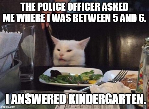 police questioning | THE POLICE OFFICER ASKED ME WHERE I WAS BETWEEN 5 AND 6. I ANSWERED KINDERGARTEN. | image tagged in salad cat | made w/ Imgflip meme maker