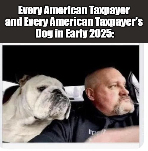 [meme's mine; image's from @Escapee4] | Every American Taxpayer 

and Every American Taxpayer's 

Dog in Early 2025: | image tagged in humans,dogs,taxpayers,doge,government corruption,life in 2020s | made w/ Imgflip meme maker