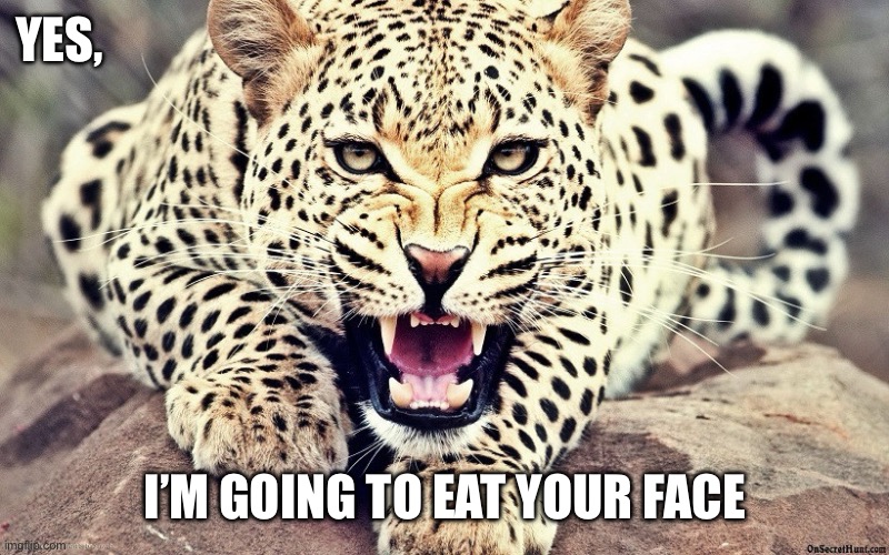 Leopard eating people’s faces | YES, I’M GOING TO EAT YOUR FACE | image tagged in leopard | made w/ Imgflip meme maker