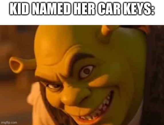 Shrek Smile | KID NAMED HER CAR KEYS: | image tagged in shrek smile | made w/ Imgflip meme maker