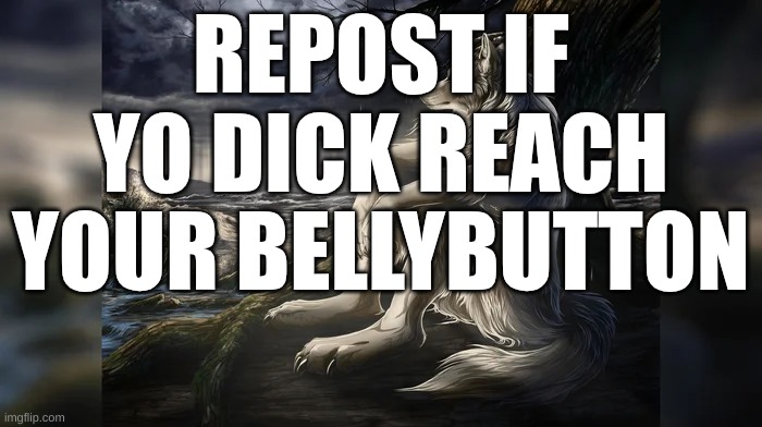 Sigma Wolf | REPOST IF YO DICK REACH YOUR BELLYBUTTON | image tagged in sigma wolf | made w/ Imgflip meme maker