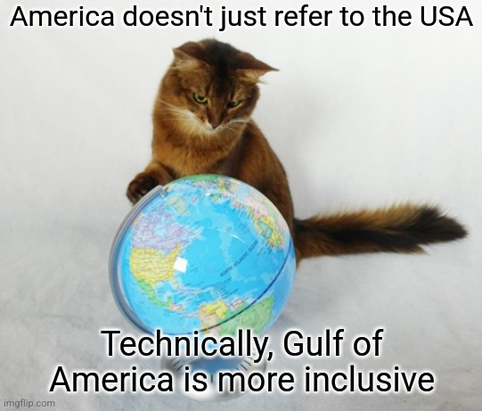 Shouldn't that be what it's all about | America doesn't just refer to the USA; Technically, Gulf of America is more inclusive | image tagged in gulf of america,donald trump,dei | made w/ Imgflip meme maker