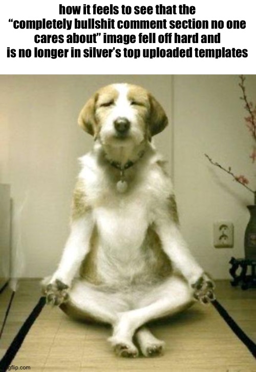 Inner Peace Dog | how it feels to see that the “completely bullshit comment section no one cares about” image fell off hard and is no longer in silver’s top uploaded templates | image tagged in inner peace dog | made w/ Imgflip meme maker