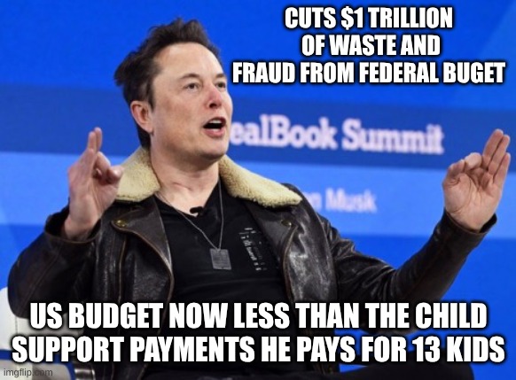 13 kids and counting | CUTS $1 TRILLION  OF WASTE AND FRAUD FROM FEDERAL BUGET; US BUDGET NOW LESS THAN THE CHILD SUPPORT PAYMENTS HE PAYS FOR 13 KIDS | image tagged in elon musk go f yourself | made w/ Imgflip meme maker