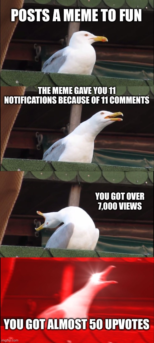 No better feeling for an imgflipper under 20k | POSTS A MEME TO FUN; THE MEME GAVE YOU 11 NOTIFICATIONS BECAUSE OF 11 COMMENTS; YOU GOT OVER 7,000 VIEWS; YOU GOT ALMOST 50 UPVOTES | image tagged in memes,inhaling seagull | made w/ Imgflip meme maker