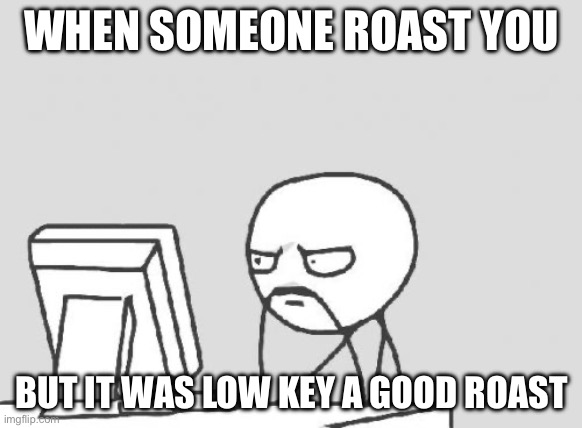 Computer Guy | WHEN SOMEONE ROAST YOU; BUT IT WAS LOW KEY A GOOD ROAST | image tagged in memes,computer guy | made w/ Imgflip meme maker