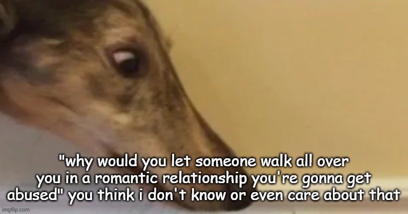 long nose dog | "why would you let someone walk all over you in a romantic relationship you're gonna get abused" you think i don't know or even care about that | image tagged in long nose dog | made w/ Imgflip meme maker