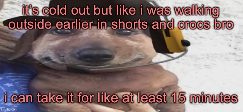 chucklenuts | it’s cold out but like i was walking outside earlier in shorts and crocs bro; i can take it for like at least 15 minutes | image tagged in chucklenuts | made w/ Imgflip meme maker