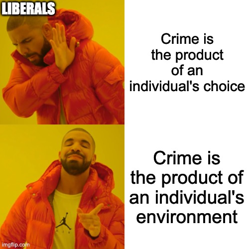 Criminal Justice meme #3 | LIBERALS; Crime is the product of an individual's choice; Crime is the product of an individual's environment | image tagged in memes,drake hotline bling | made w/ Imgflip meme maker