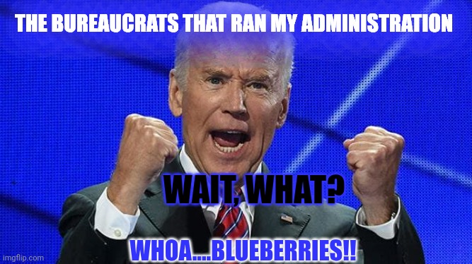 Nobody Elected | THE BUREAUCRATS THAT RAN MY ADMINISTRATION; WAIT, WHAT? WHOA....BLUEBERRIES!! | image tagged in joe biden fists angry,look over there,blueberries | made w/ Imgflip meme maker