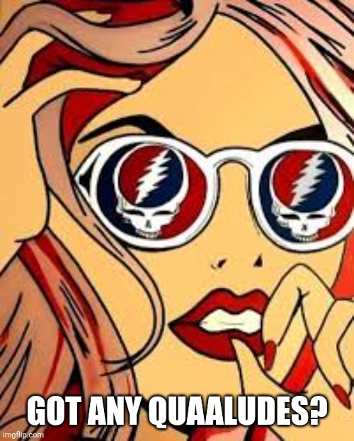 deadhead | GOT ANY QUAALUDES? | image tagged in deadhead | made w/ Imgflip meme maker